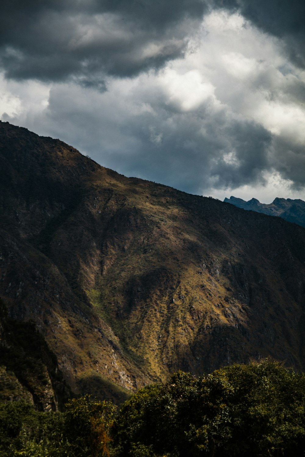 montagna verde ]