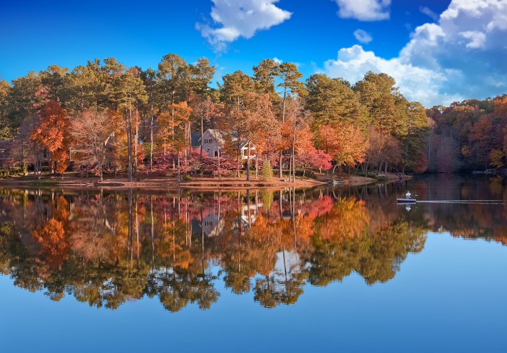 house surrounded with tall and orange trees near body of water under blue and white skies during daytime