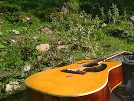 A guitar rests on a grass-covered area, surrounded by stones and lush greenery. Sunlight casts a warm glow on the wooden body of the guitar, creating a serene outdoor setting.