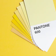 Bright yellow printed materials spread out on a table, highlighting the brand's signature color.