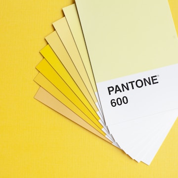 A set of color swatches fanned out on a yellow background, featuring various shades of yellow and labeled 'Pantone 600' on the top card.