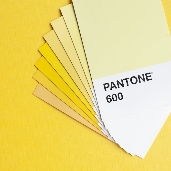 Brand guidelines in use
