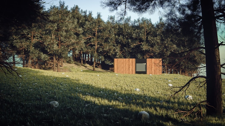 A modern, minimalist wooden house situated in a lush forest clearing with dense trees in the background. The foreground features a grassy area with wildflowers and scattered rocks. Sunlight casts shadows from the trees, creating a serene and peaceful atmosphere.