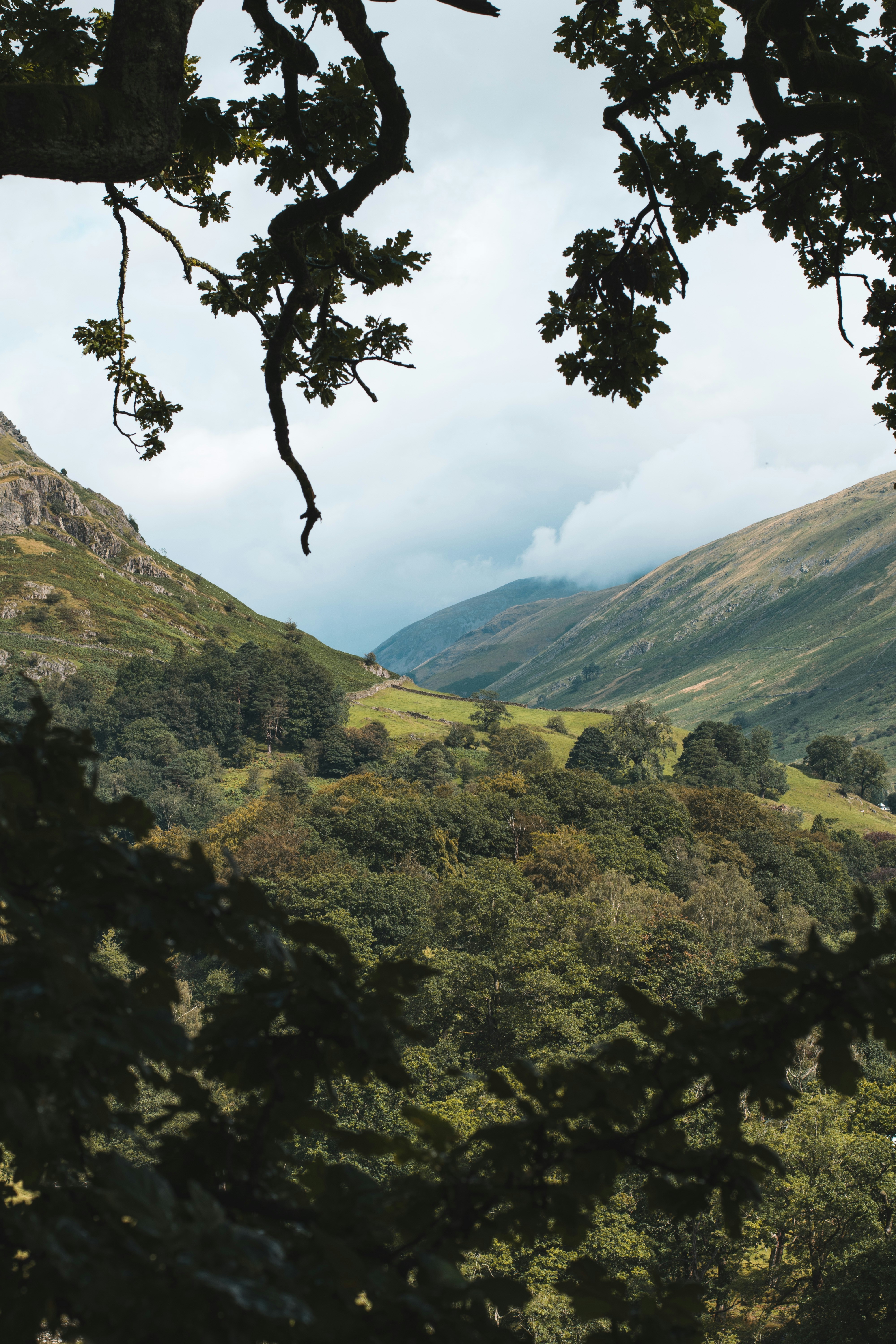 Photo by itsrobcoates