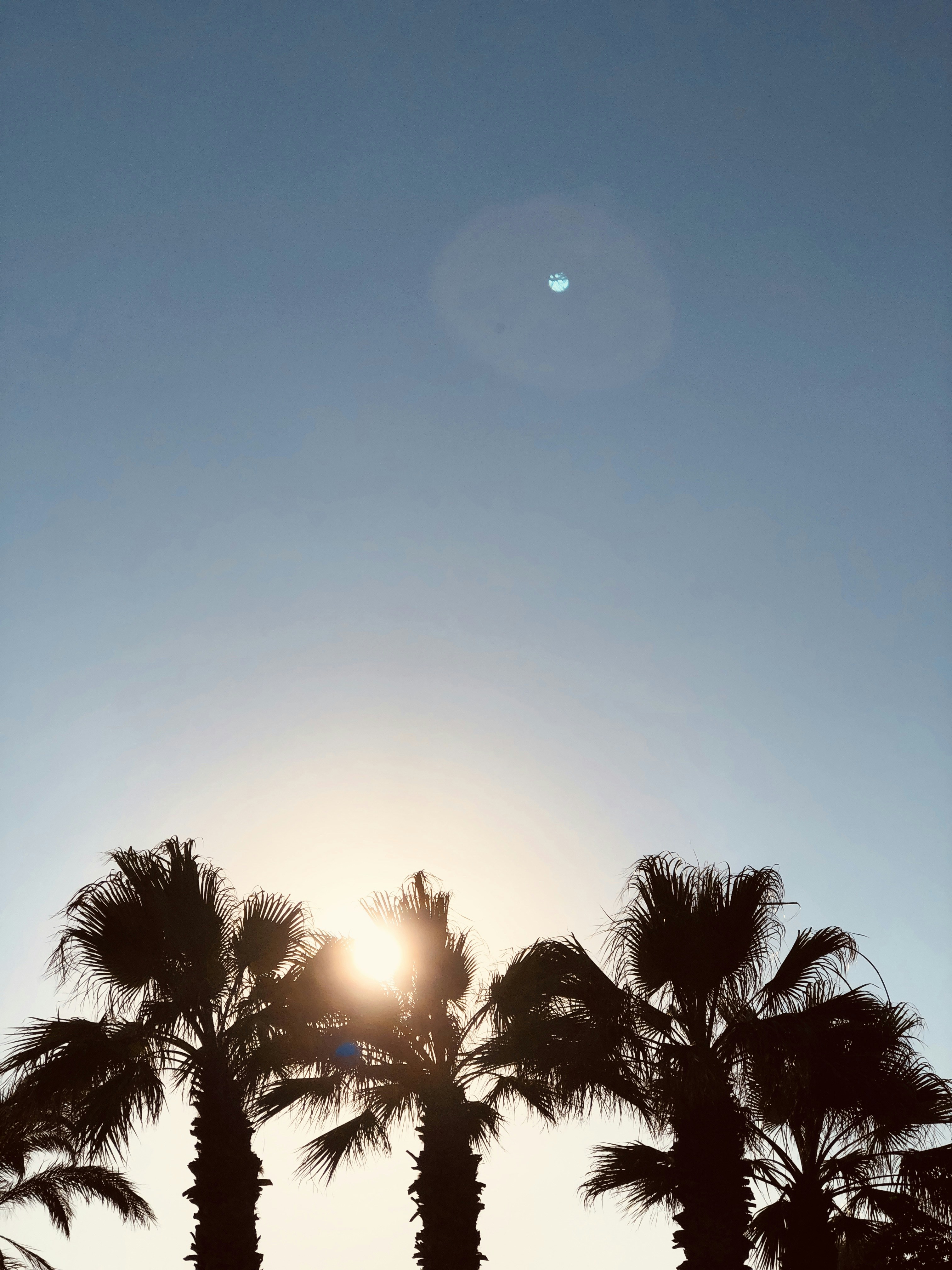 Photo by pieter_olievier