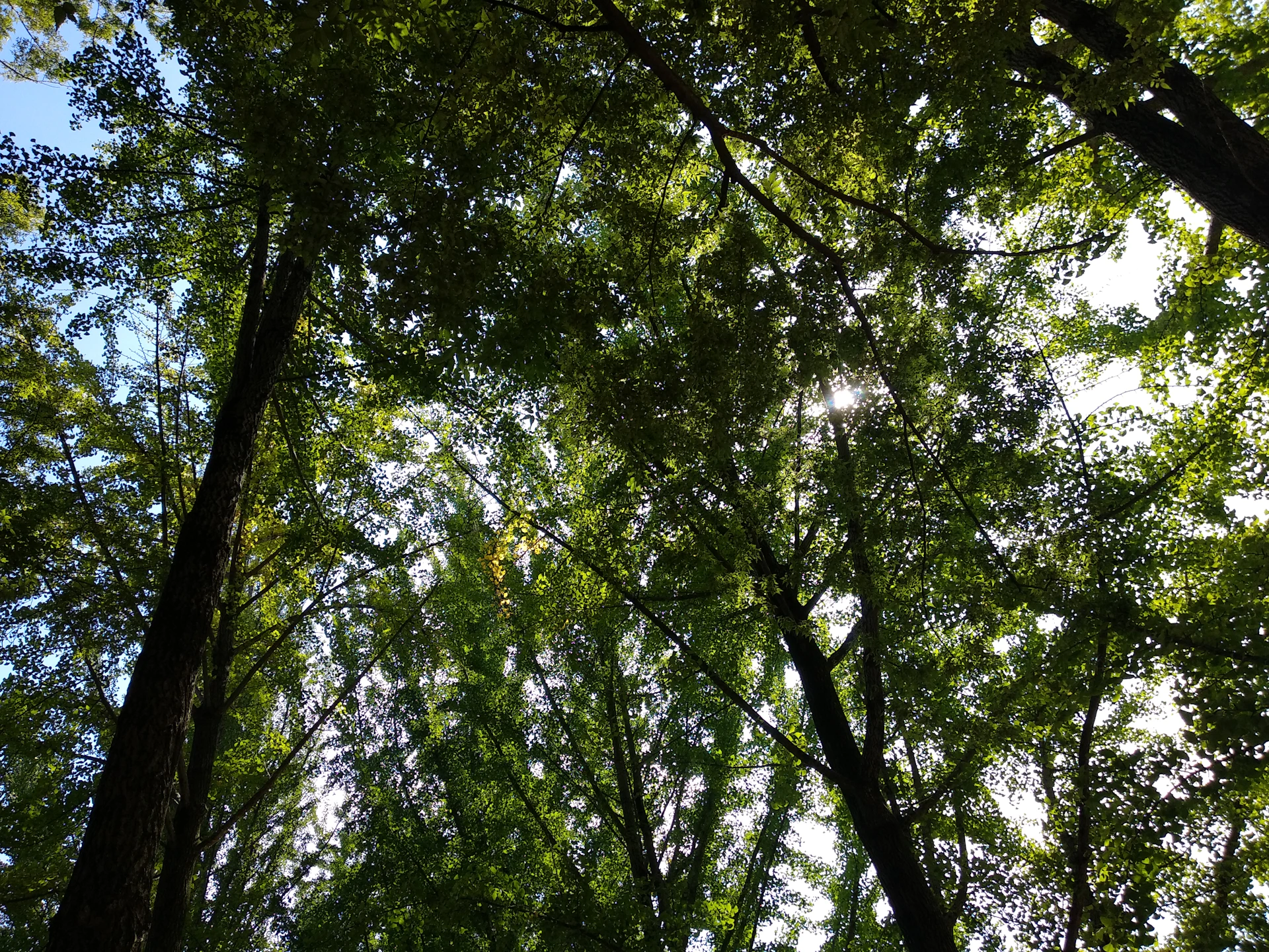 gray computer monitor