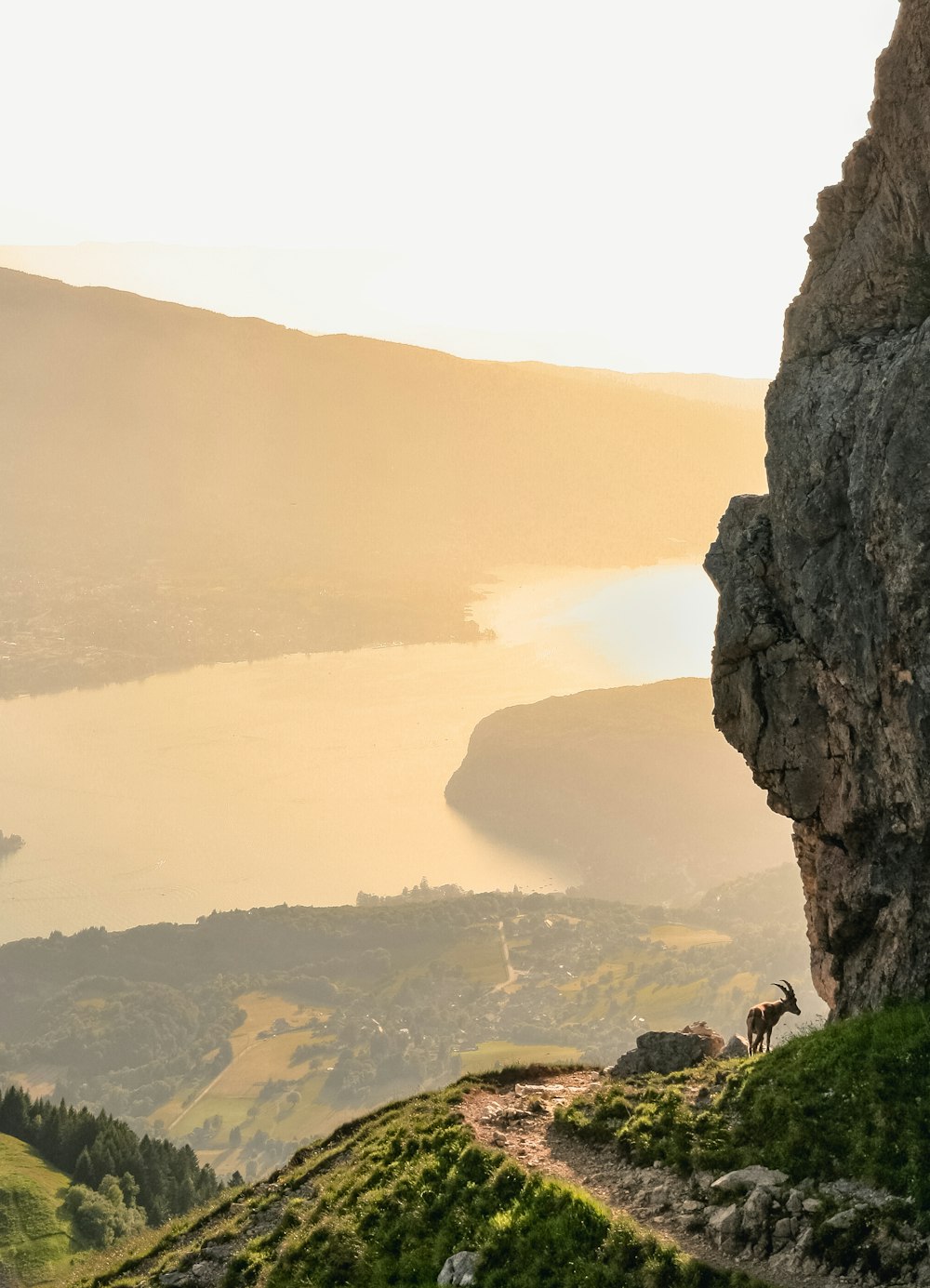 scenery of mountain goat atop a mountain with sunrise and lake 