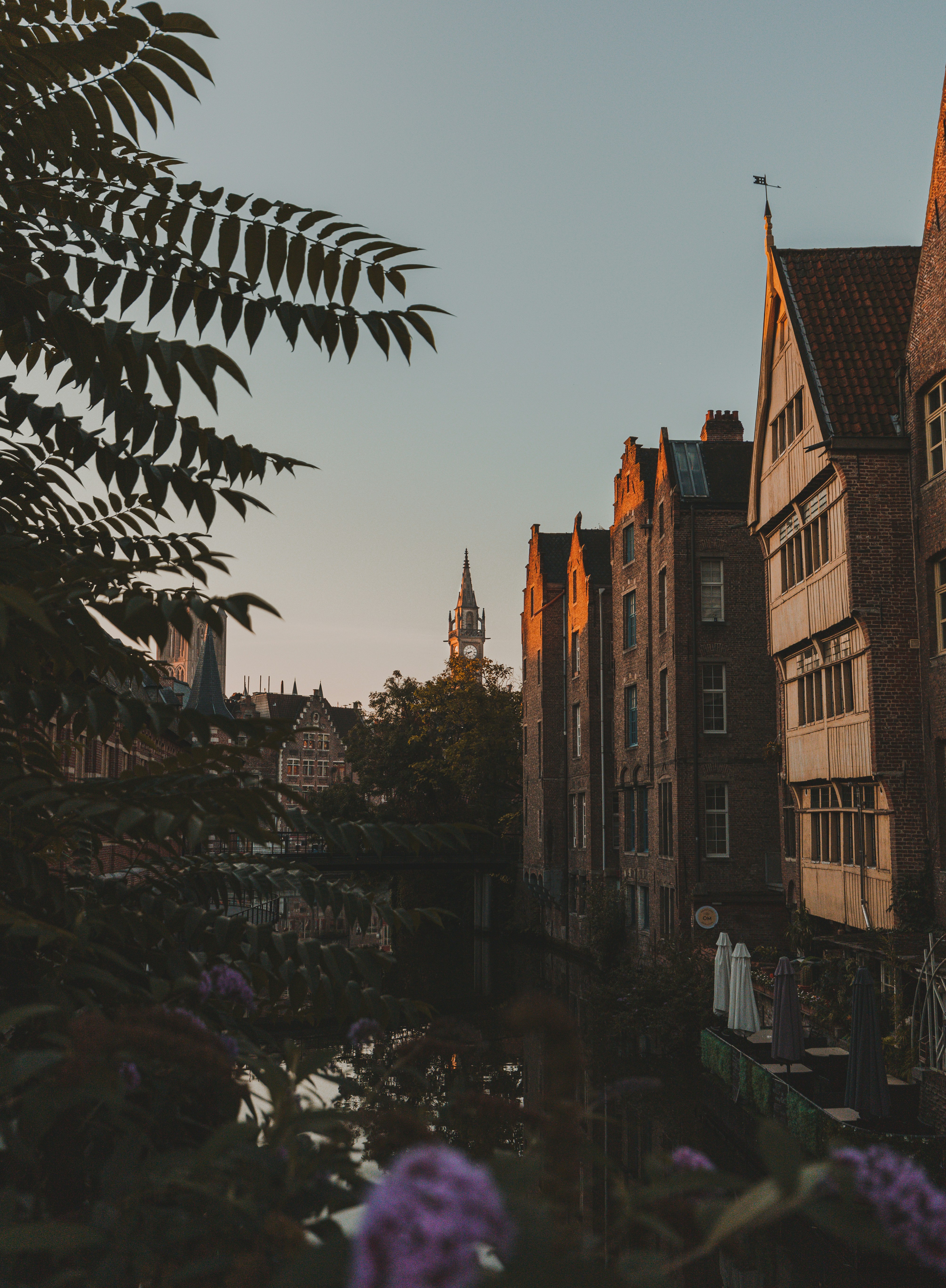 Photo by marksarmiento