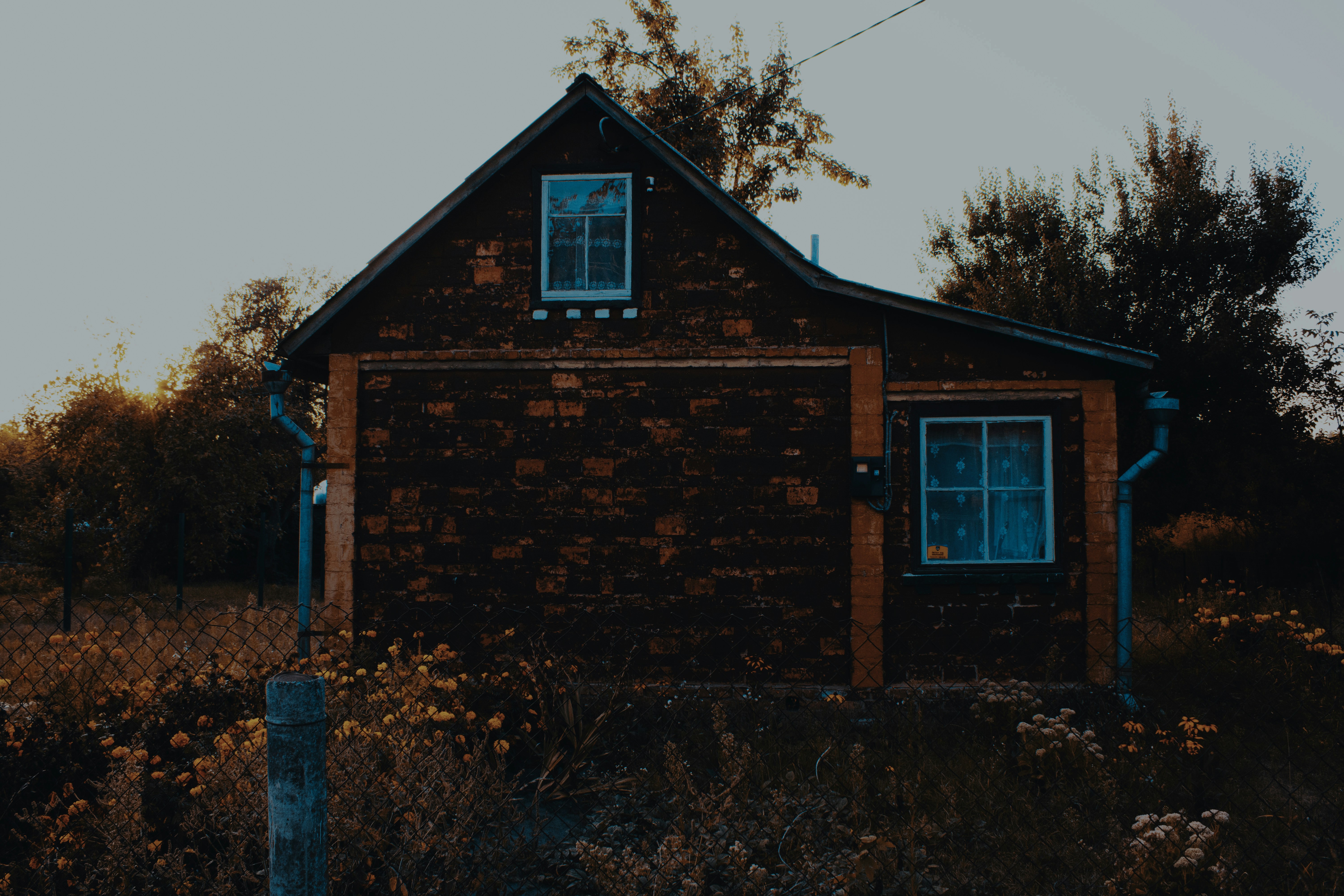 Photo by this_misty_garden