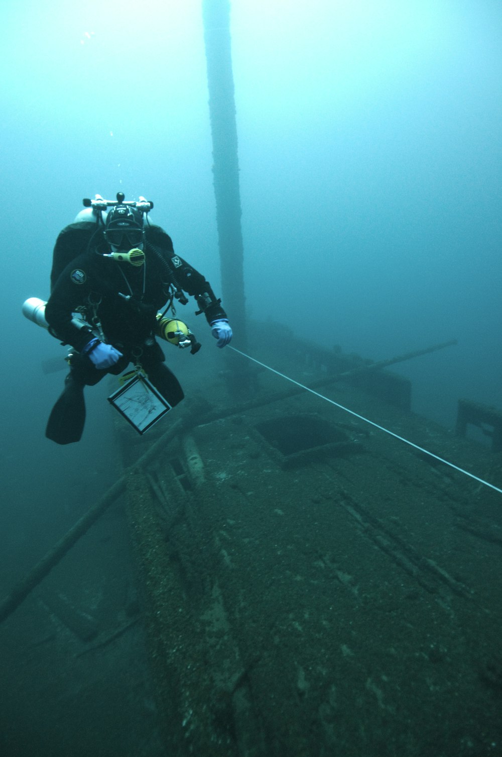 person wearing black flippers in body of water