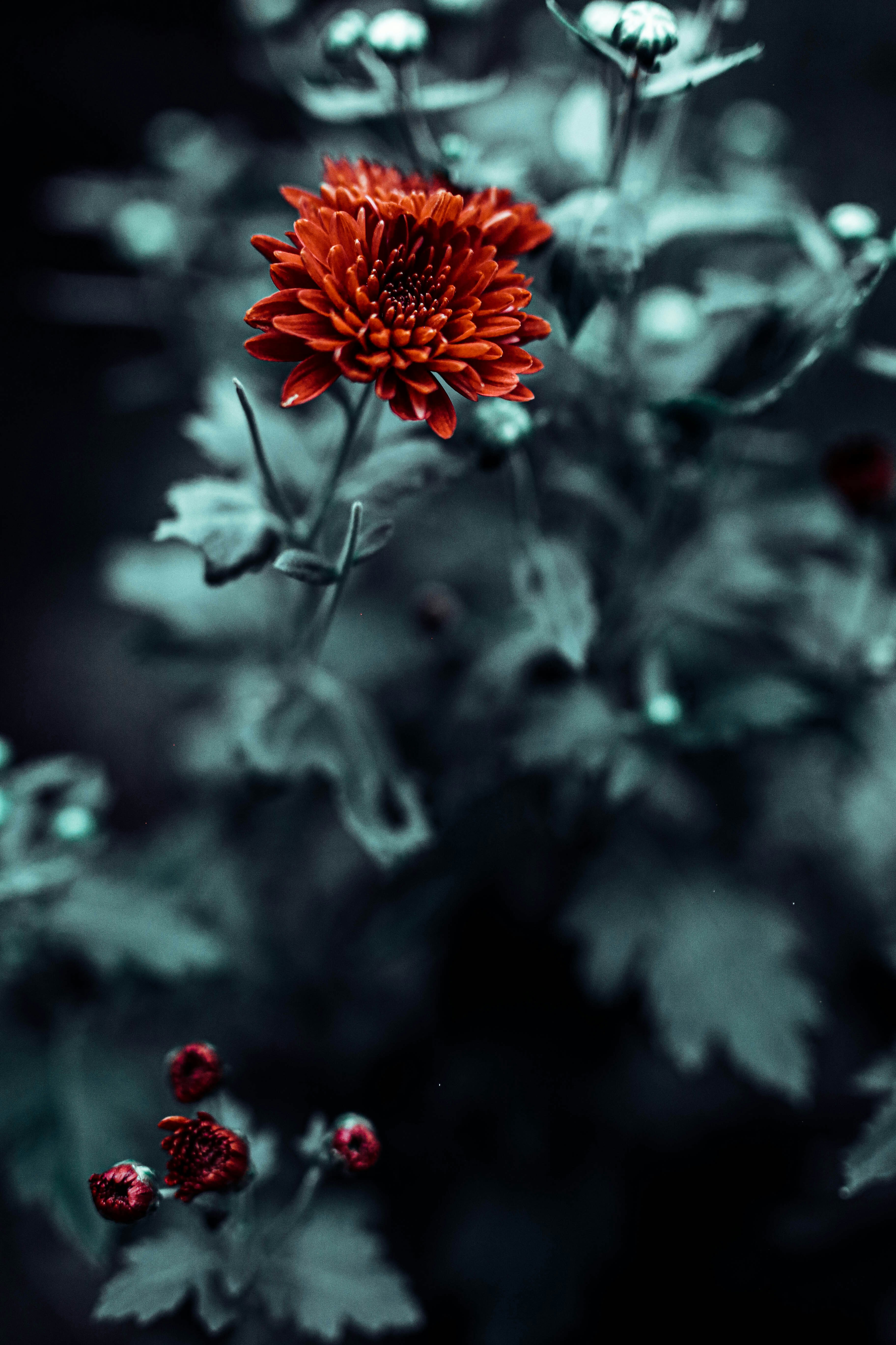 Photo by parizad_shojaei