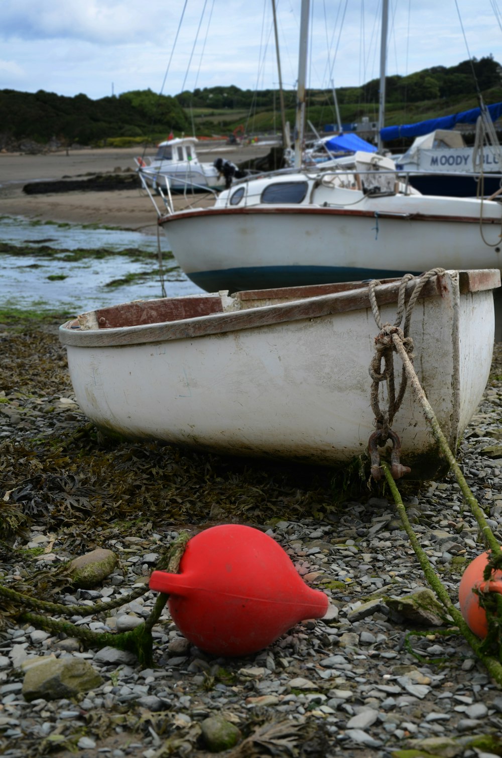 white canoe during daytime