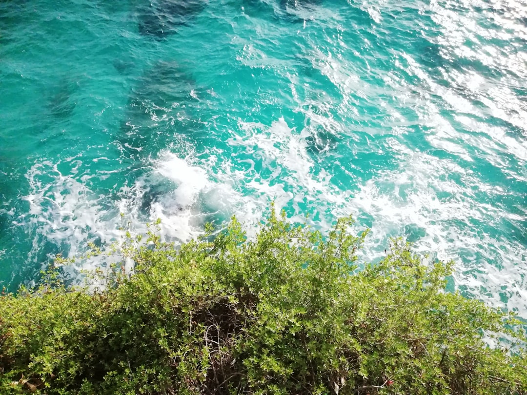 Ocean photo spot Cebu Lambug