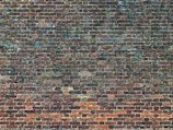 Close-up of a brick wall before and after removing years of dirt and moss.