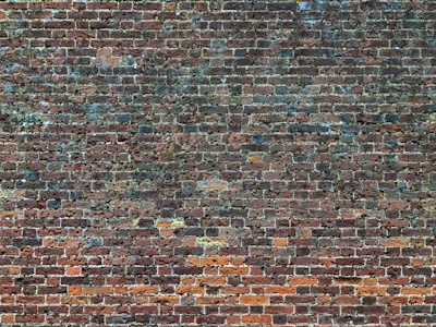 Close-up of a brick wall before and after removing years of dirt and moss.