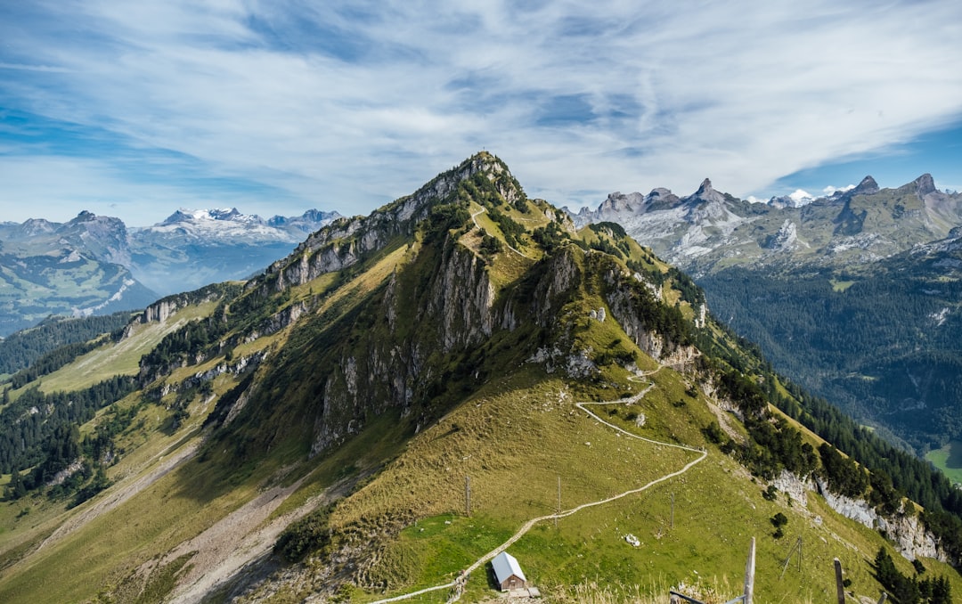 aerial photography of mountain