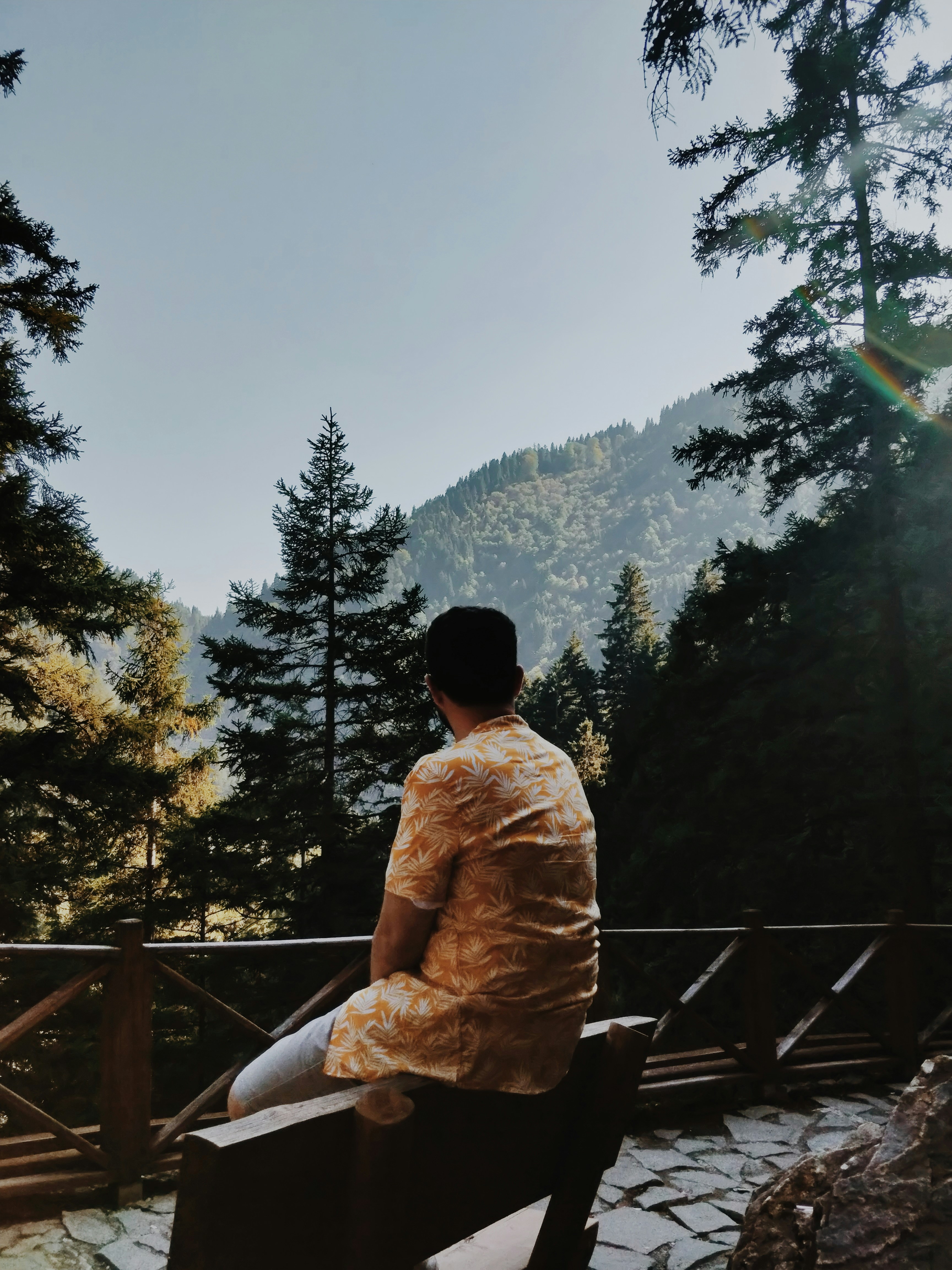 The Opioid Crisis Created by Medical Systems