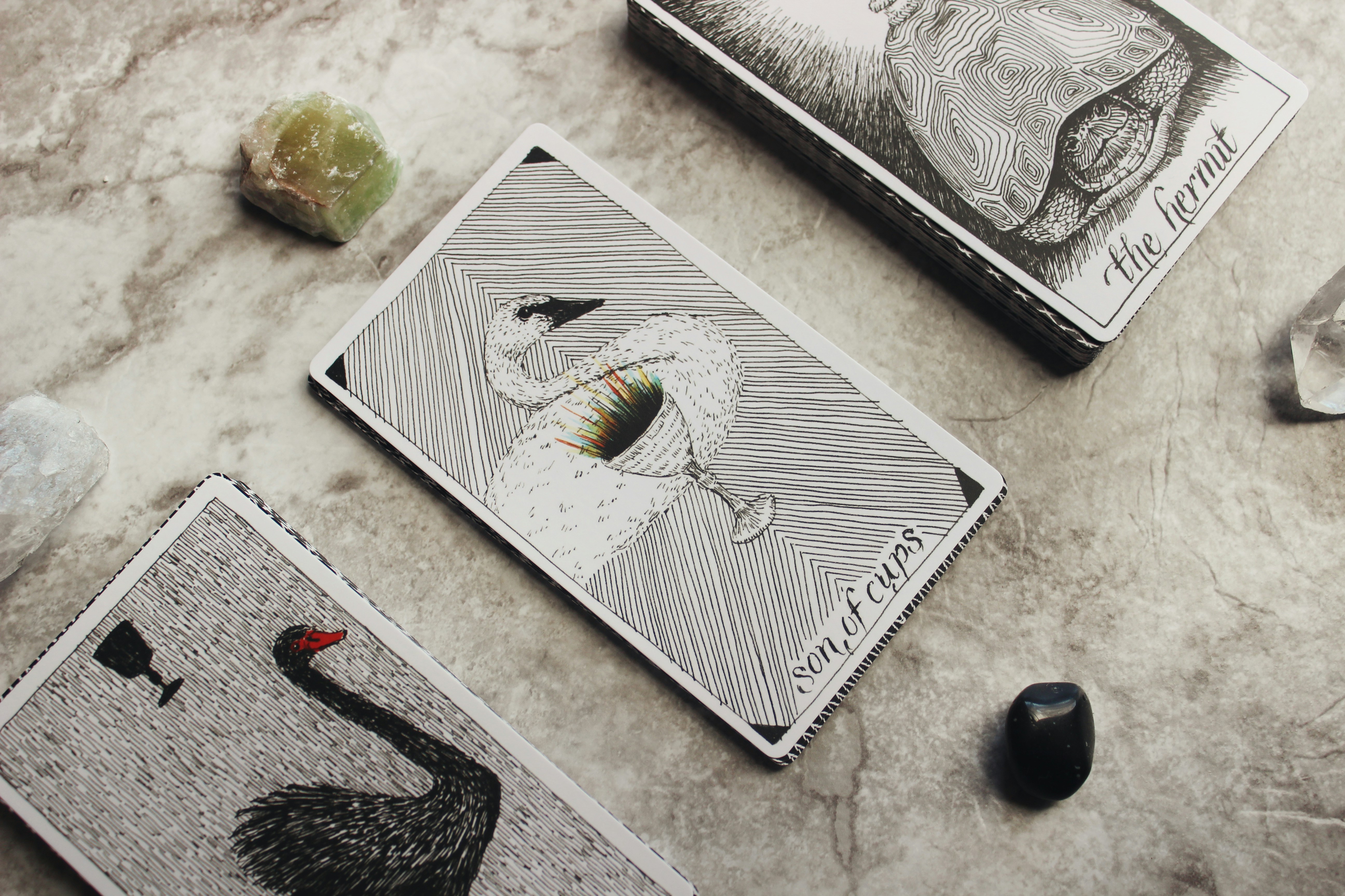 Exploring the Interconnections: Tarot and Astrology