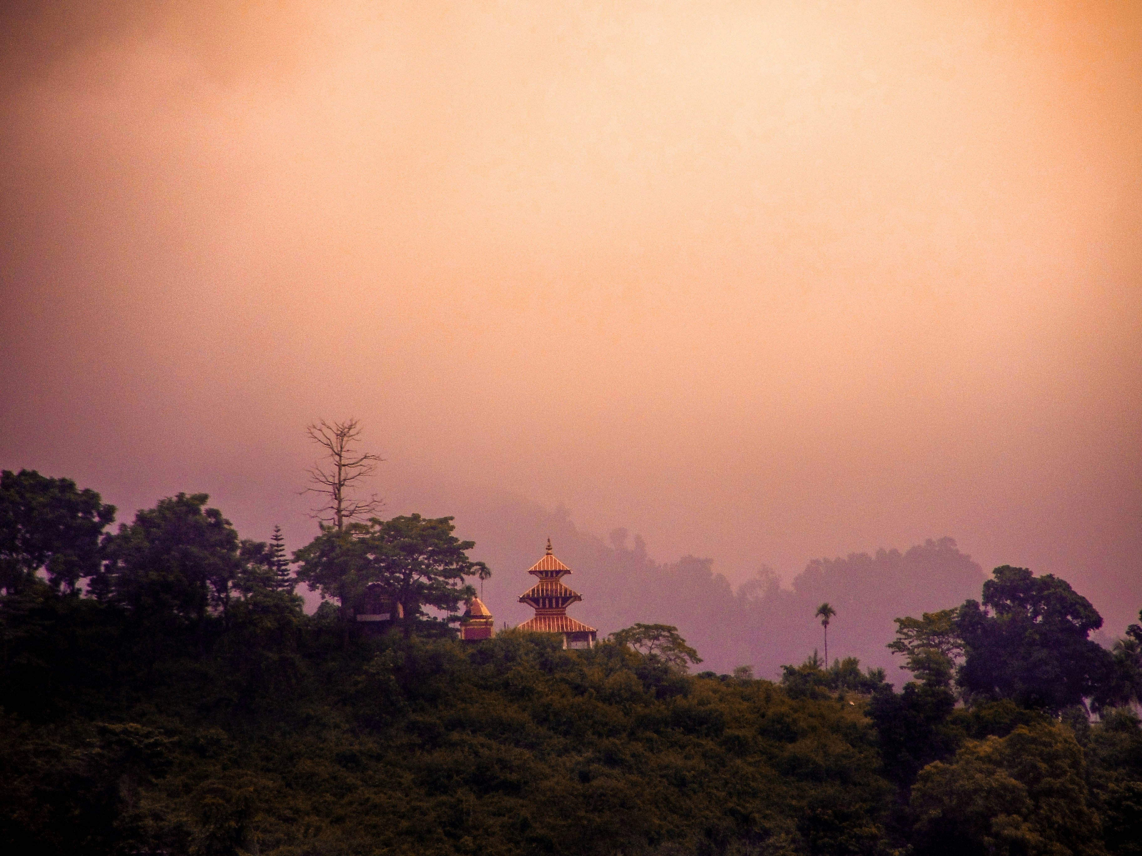 Photo by babin_shrestha