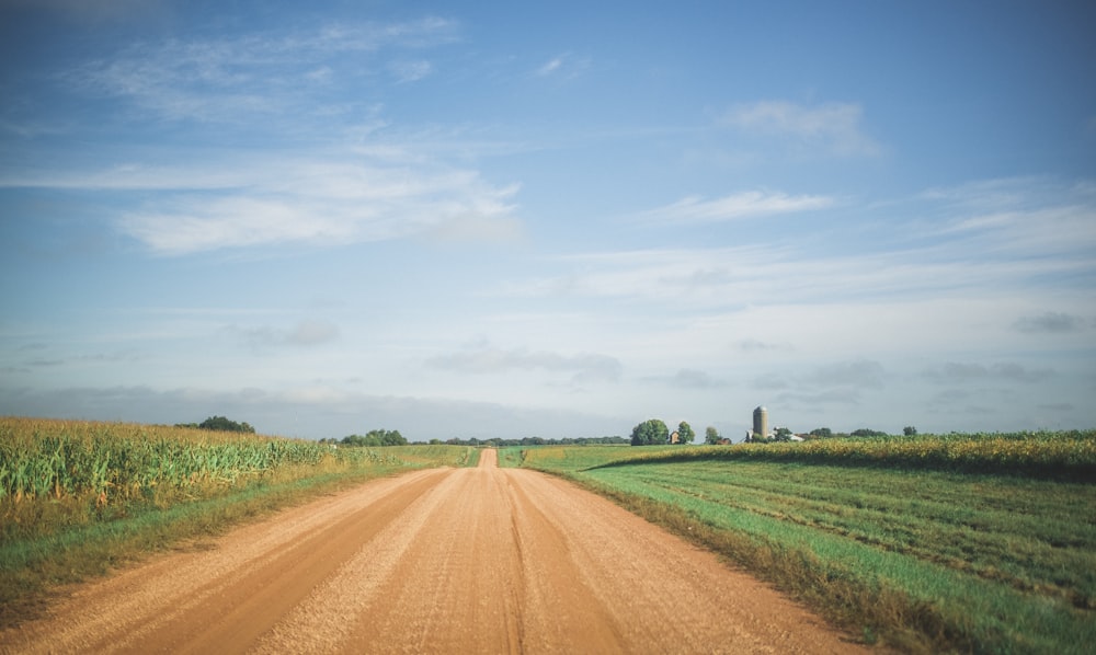 green field with road