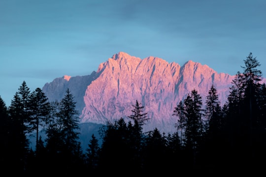 trees near mountian in Karwendelgebirge Austria