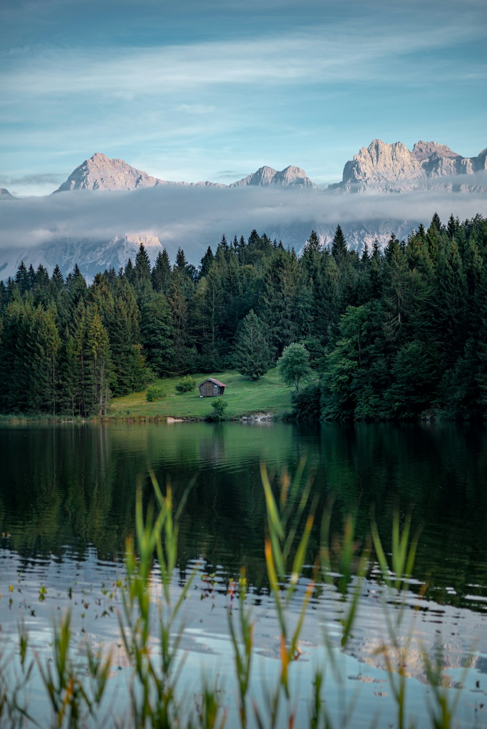 body of water near trees