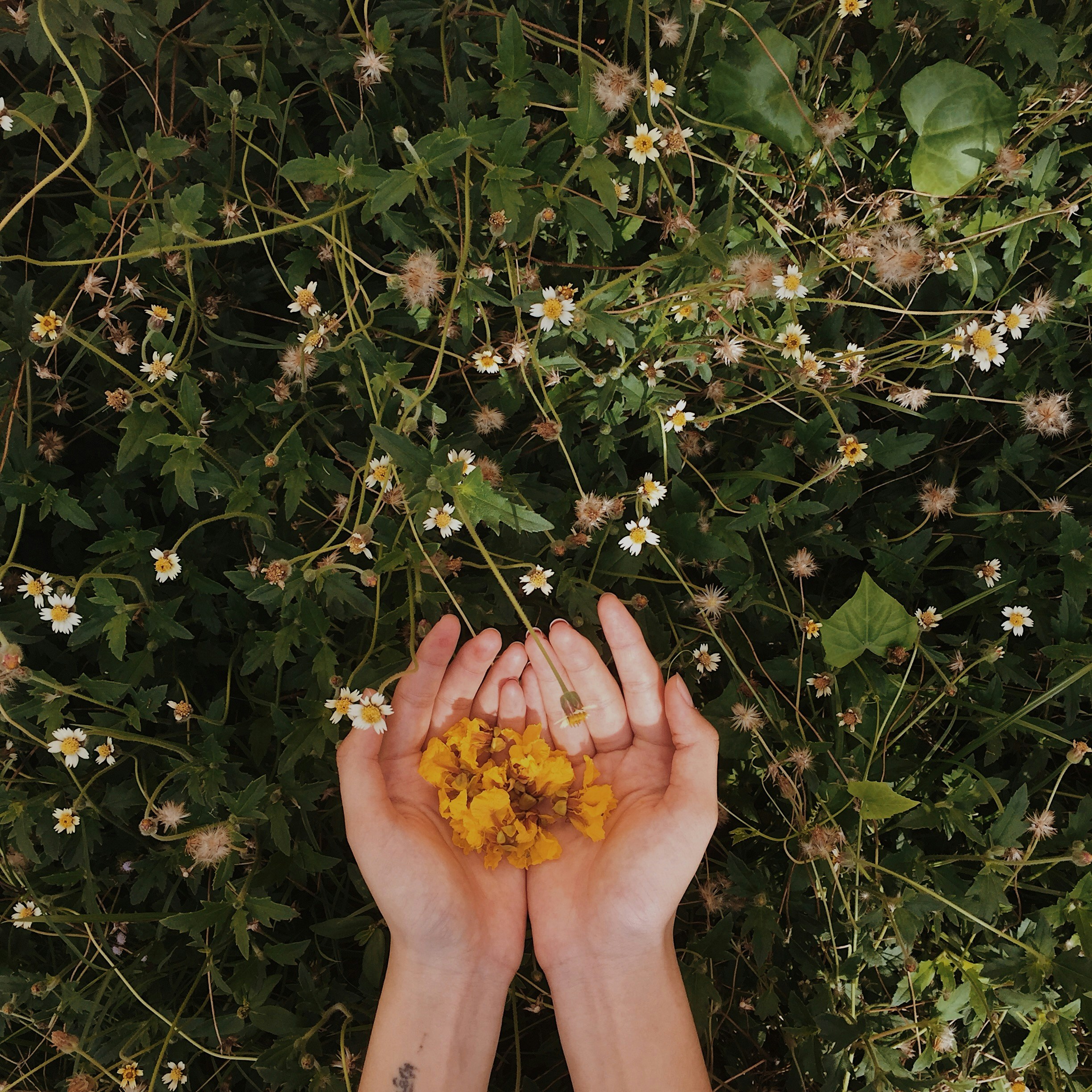 Photo by _phamhuynhkimthien