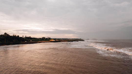 photography of seashore during daytime in Diu India