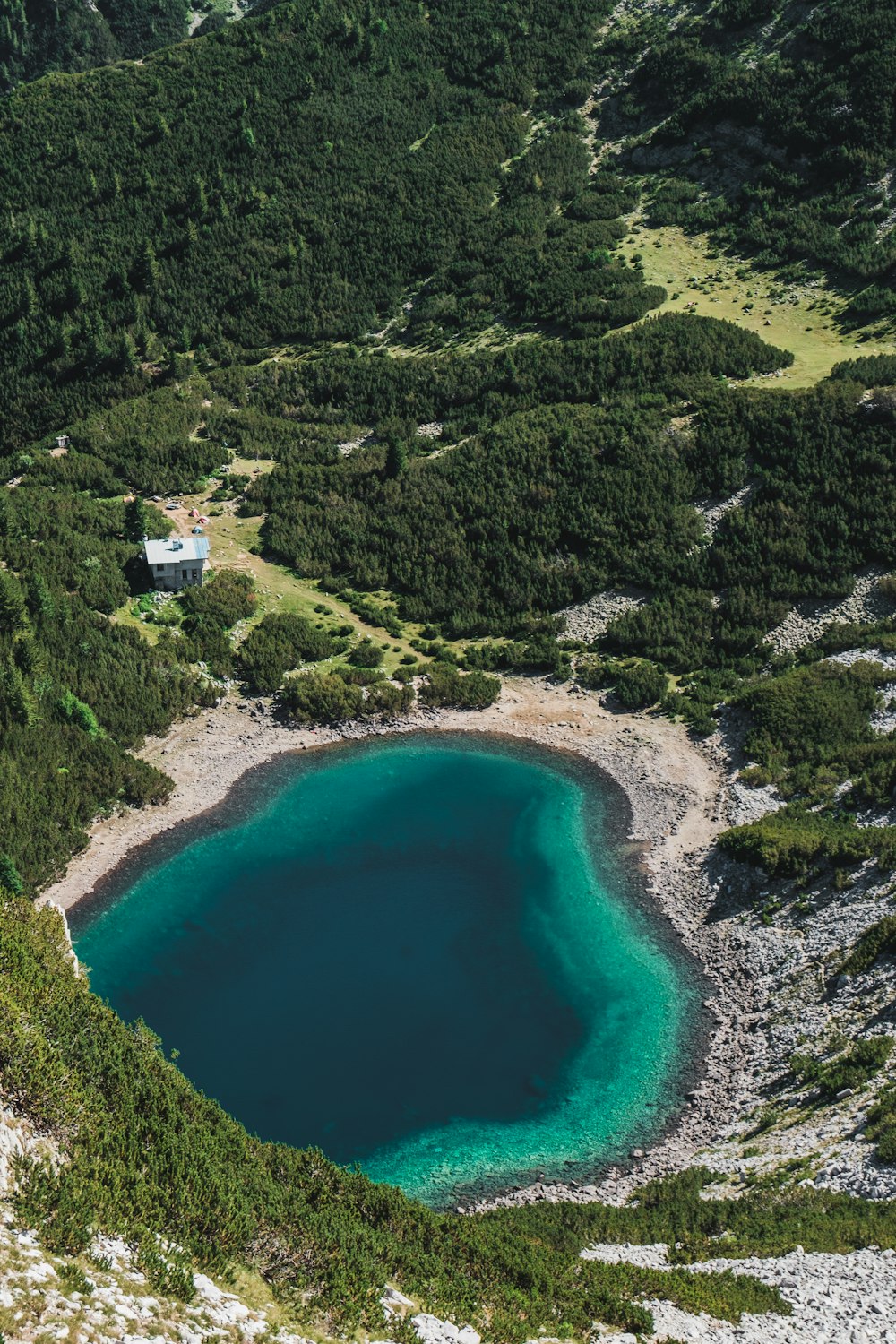 lake in forest