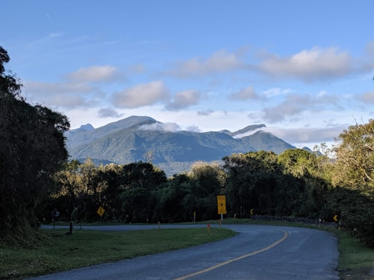 empty road during daytime in Morretes Brasil