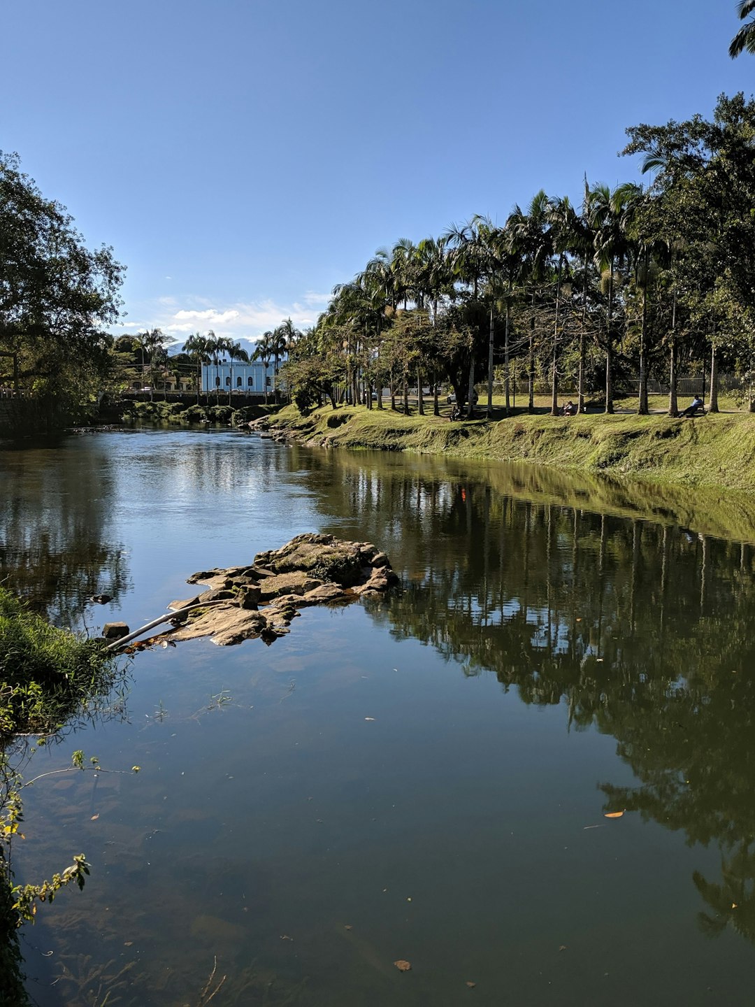 photo of Morretes River near Bosque Alemão