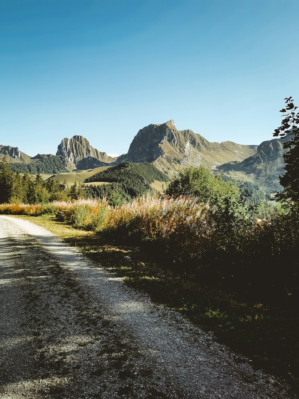 green covered mountains