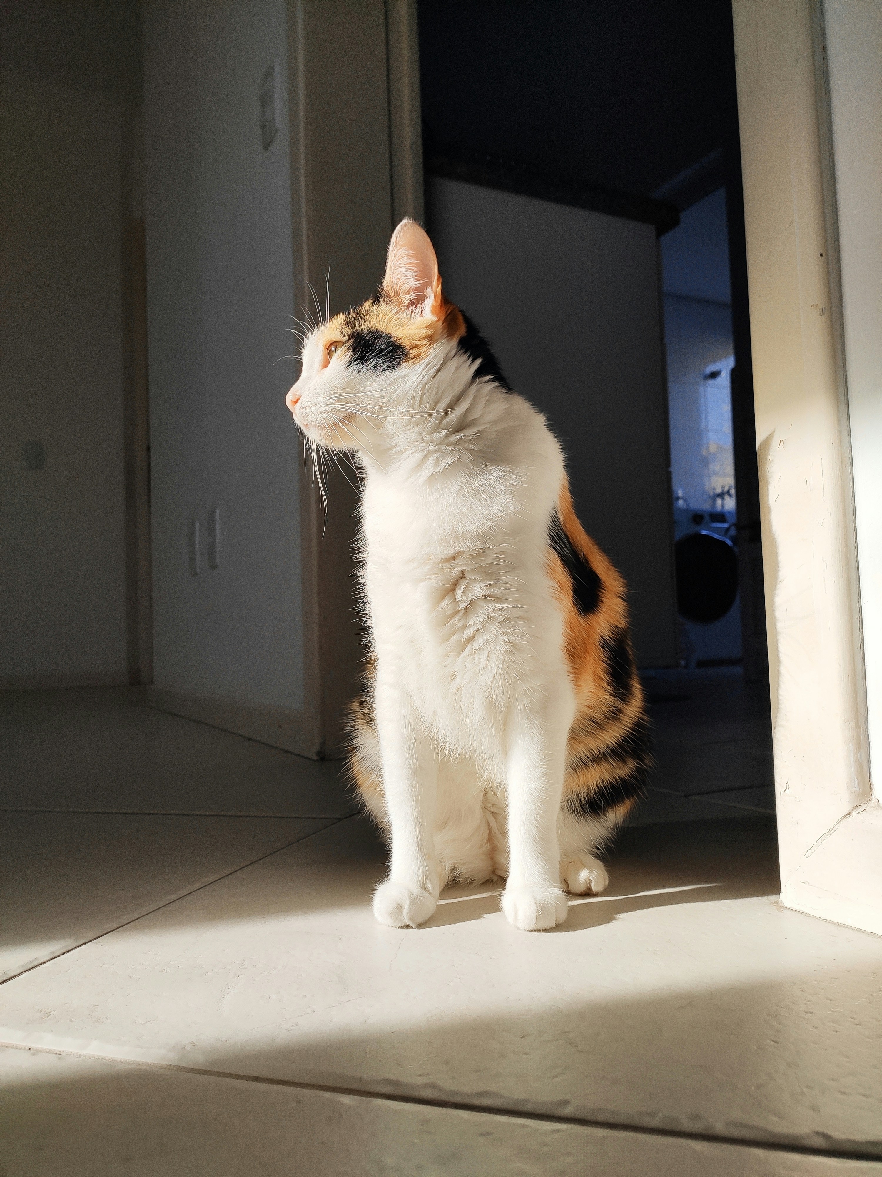 Photo by vinnymoraes