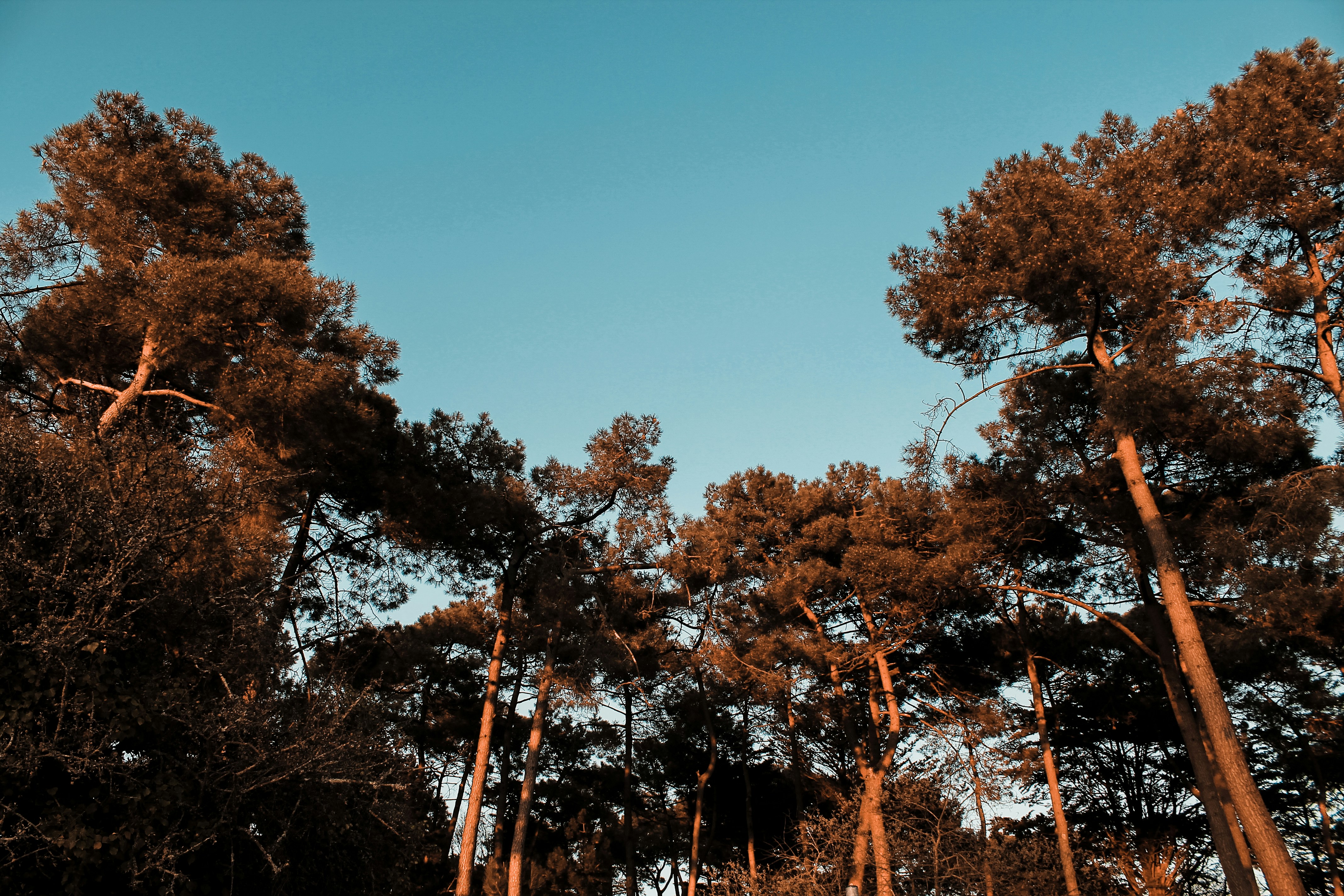 Photo by floriancario