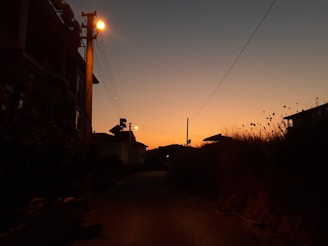 A solar-powered street lamp illuminating a quiet village road at dusk.