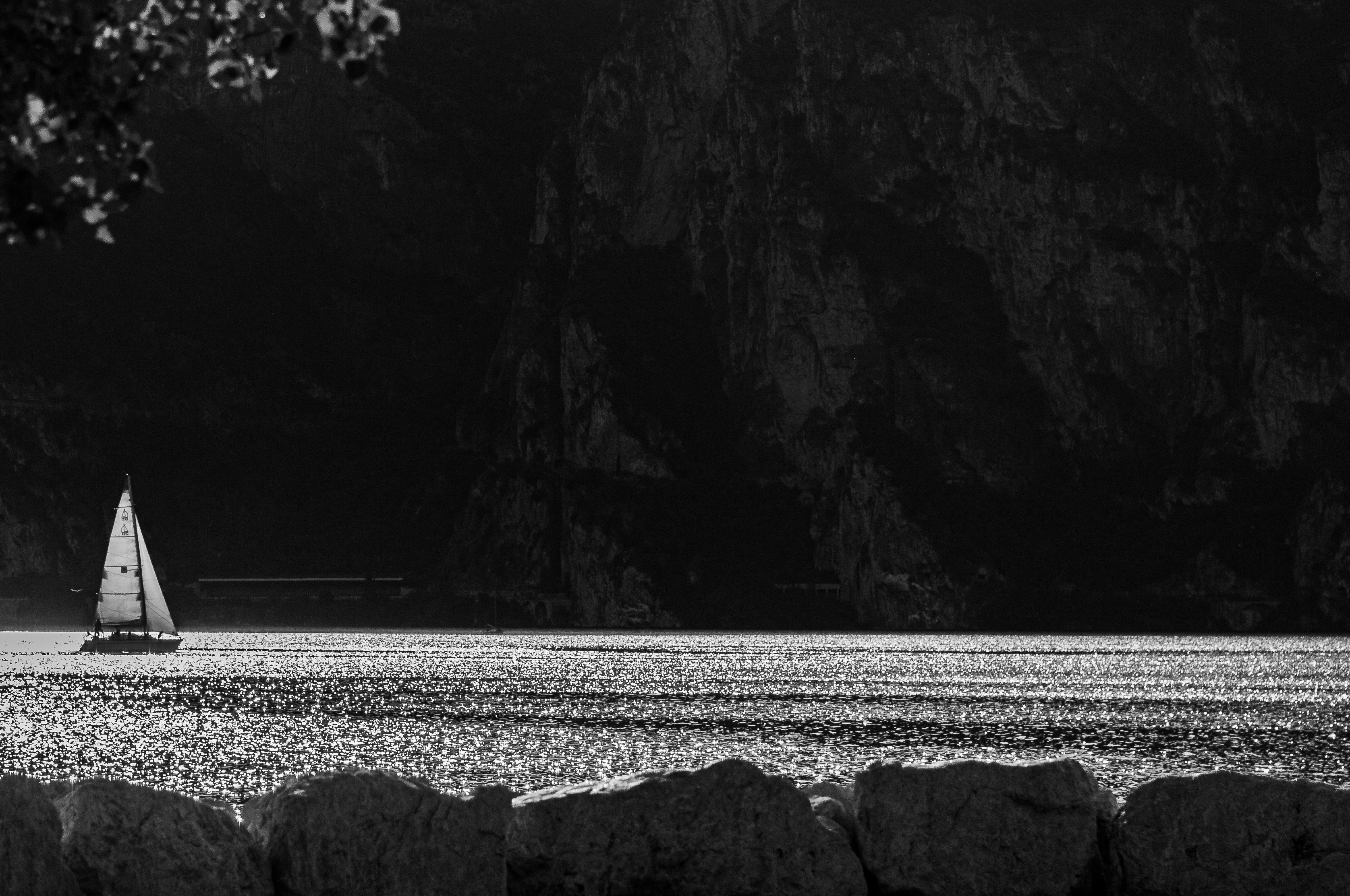 水域のヨットのグレースケール写真