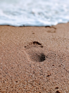 A single footprint in wet sand on a peaceful beach.