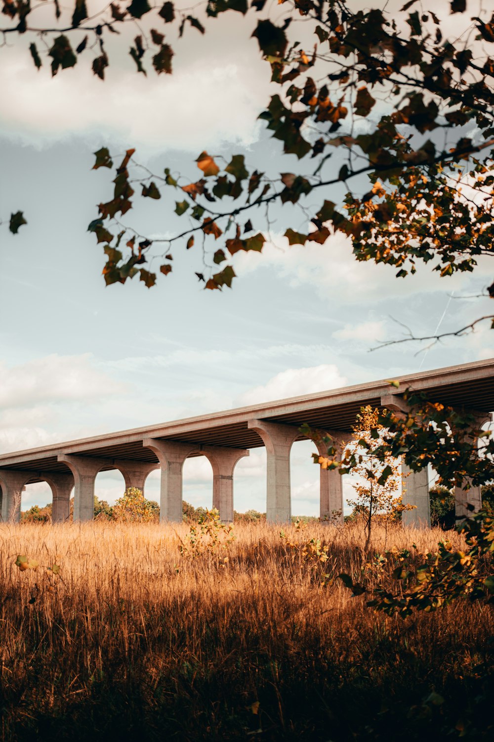 white concrete bridge