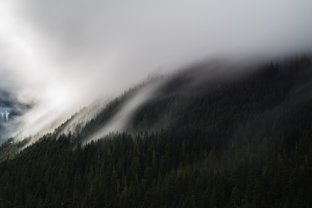 mountain with white fogs