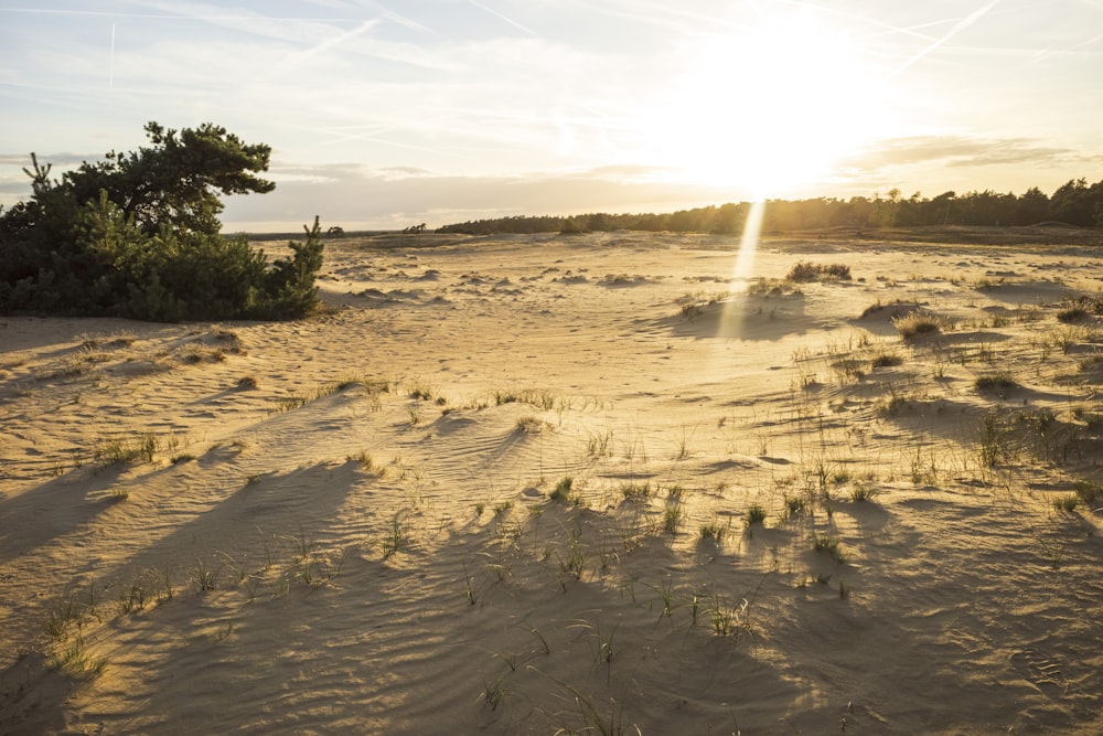 the sun is setting over a sandy beach