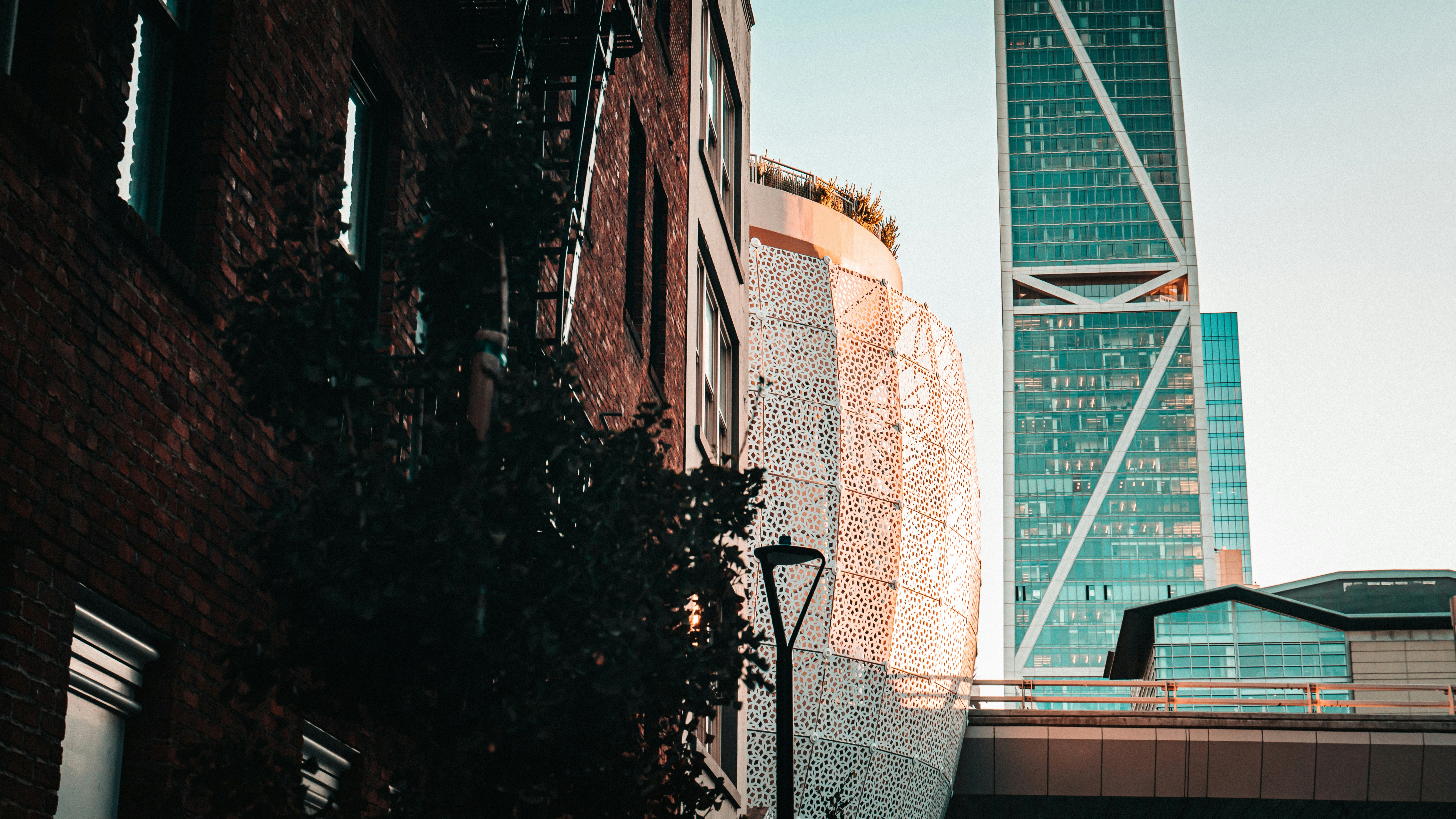 Photo by francistogram