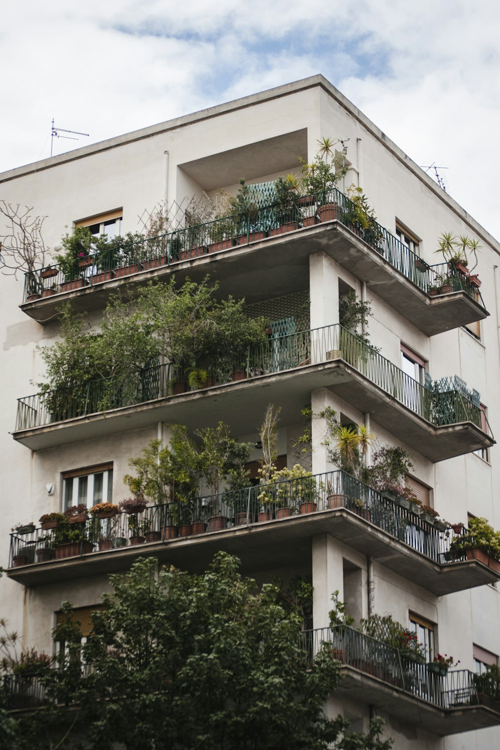 building with balconies and plants during day