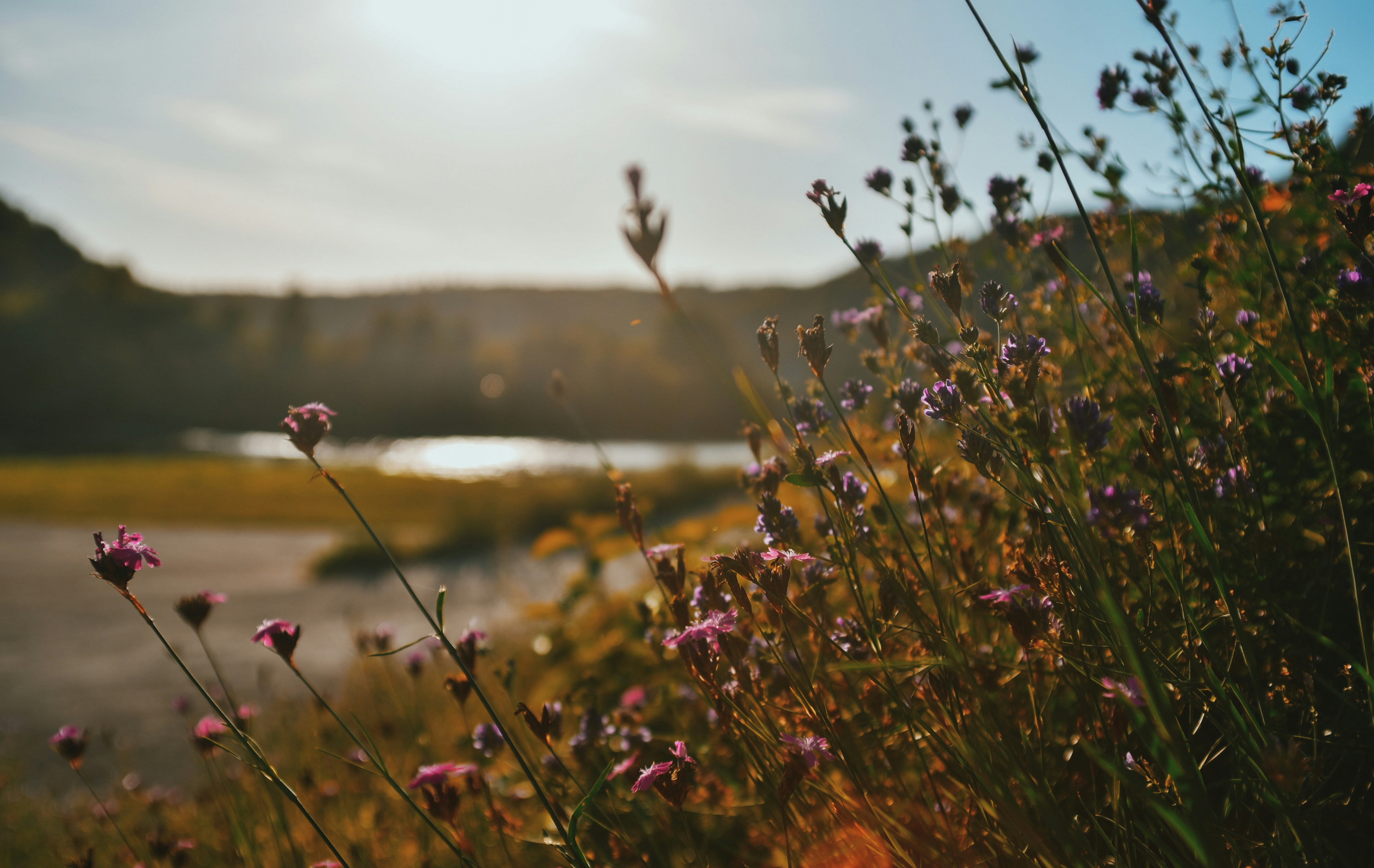 Photo by chinguyenphung