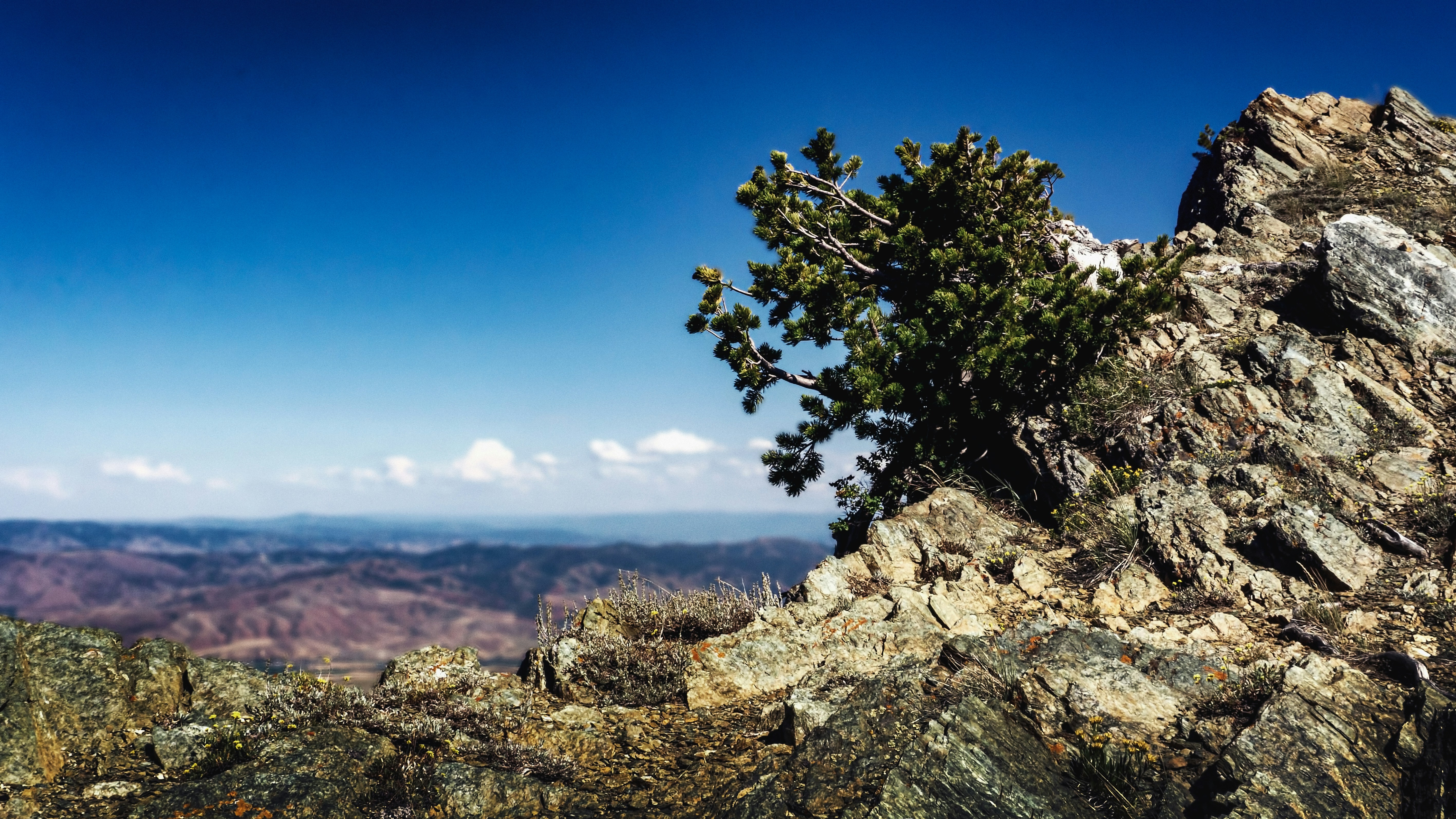 Photo by mark_burnett