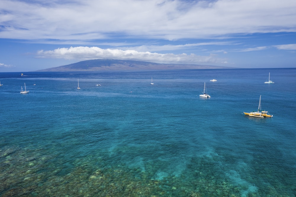 blue body of water