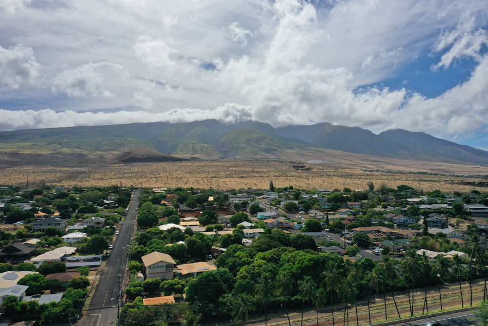 aerial photography of green-leaved trees