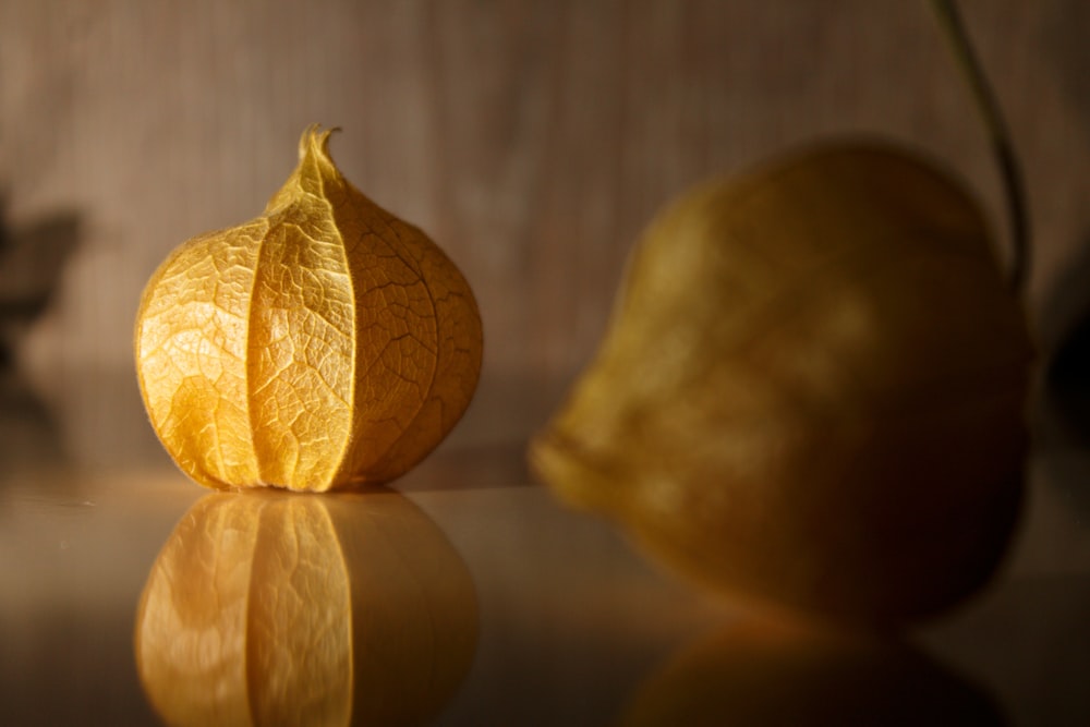 yellow physalis flower