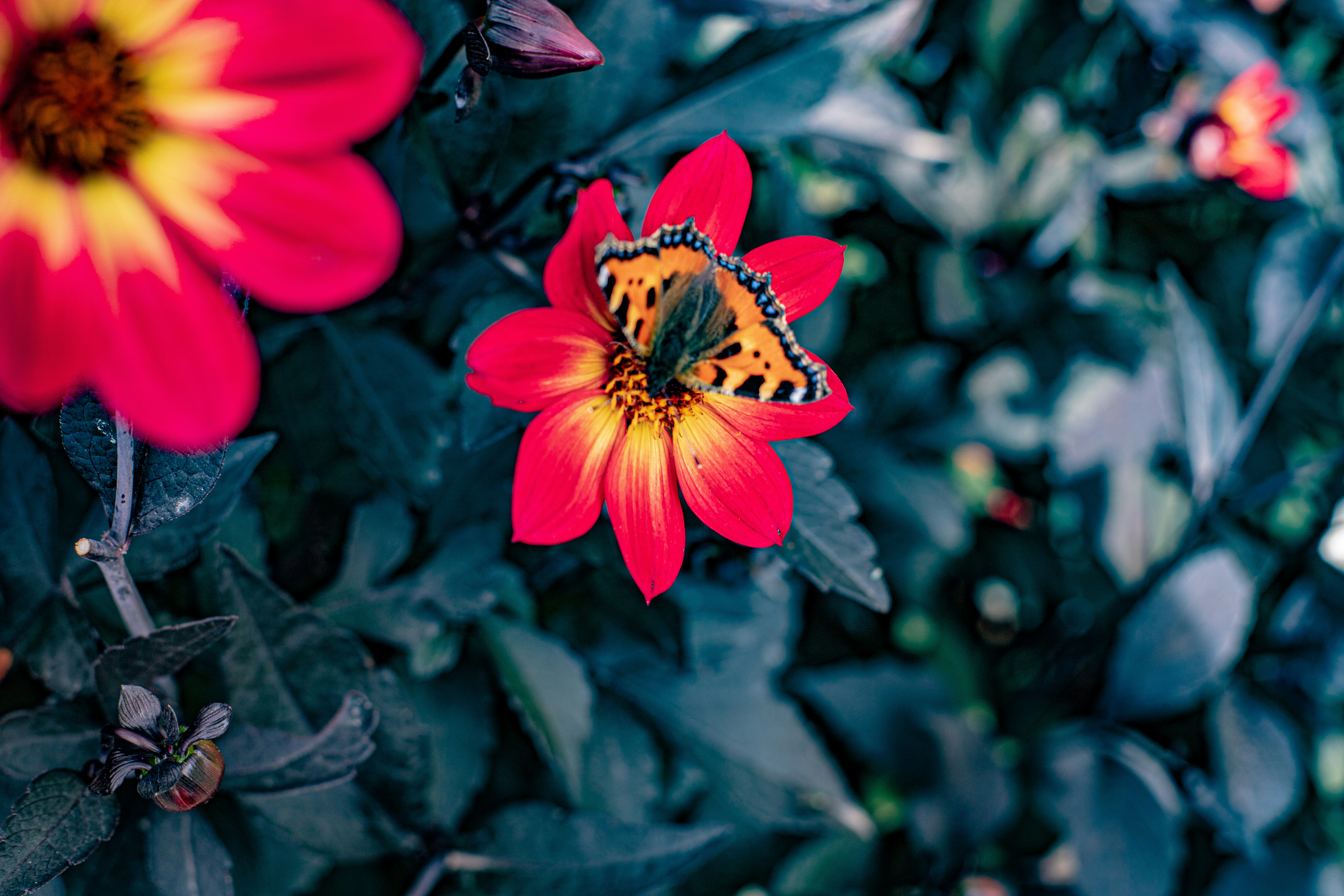 Photo by keepsakes_and_daydreams