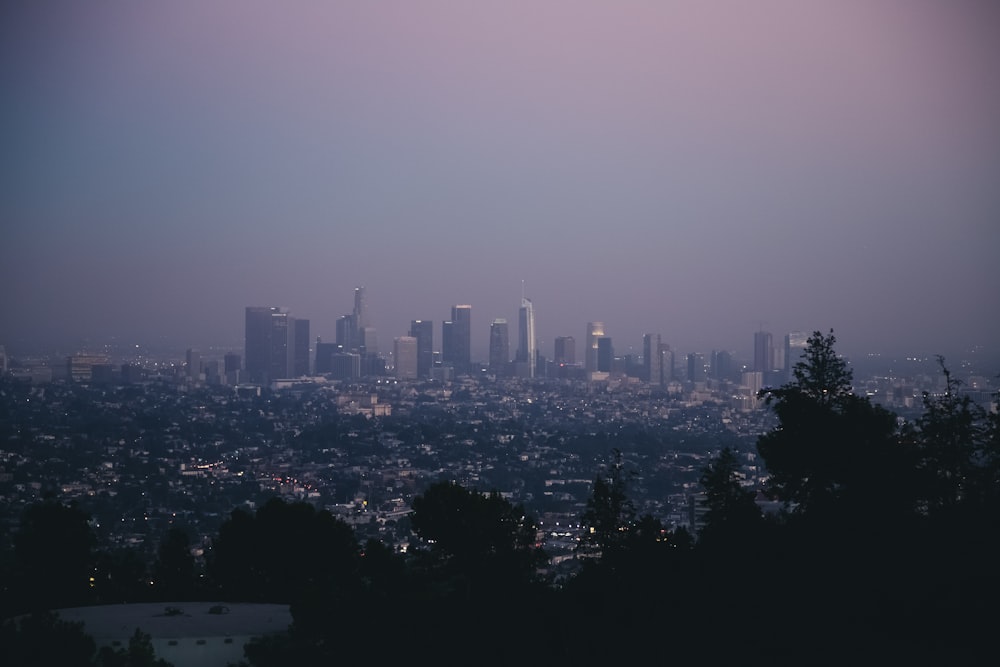 cityscape during daytime