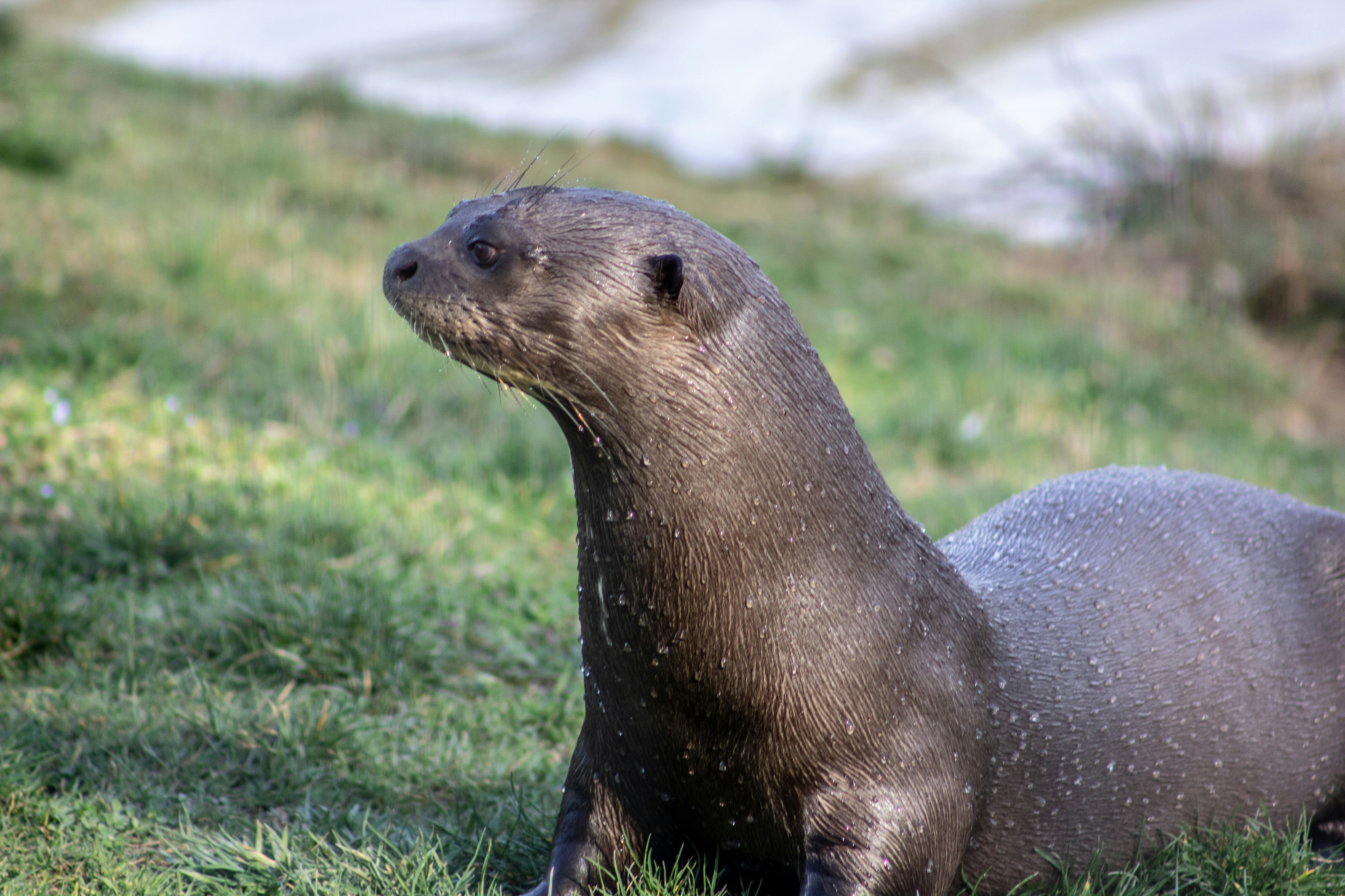 Photo by keepsakes_and_daydreams